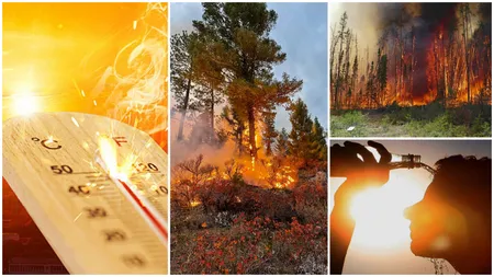Încălzirea globală atinge un nou record. Vara anului 2024 a fost cea mai sufocantă de până acum. Semnalul de alarmă tras de specialiști