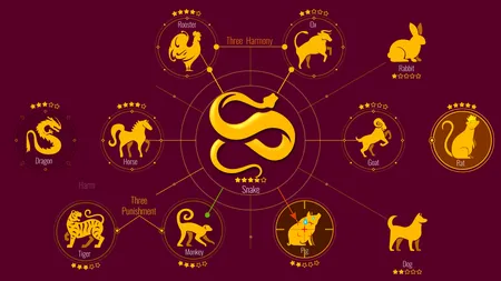 Zodiac chinezesc sâmbătă 26 octombrie 2024. Decizii financiare pentru Bivol, dificultăţi pentru Şarpe