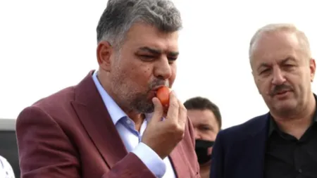 Guvernul Ciolacu plătește încă 180 milioane de lei pentru producătorii agricoli. Banii sunt pentru cultivatorii de roșii românești