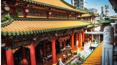 Horoscop chinezesc 2025. Este Anul Şarpelui de Lemn: Zodia al cărei destin se va schimba total începând din această lună. Dragoste, carieră și sănătate