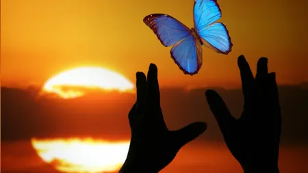 4 ZODII care se confruntă cu SCHIMBĂRI semnificative în viaţă de acum până în 2026
