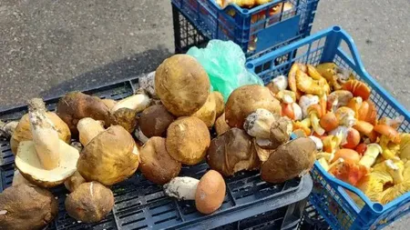O legumă obișnuită, achiziționată din piață, a răspândit spaimă în rândul consumatorilor. Trei ieșeni au ajuns la spital