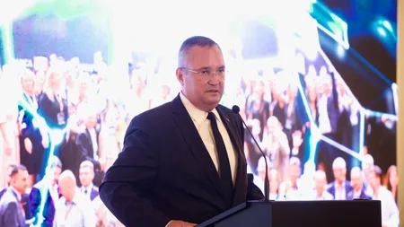 Nicolae Ciucă, despre situaţia lui Nelu Tătaru: Instituţiile statului îşi fac treaba. Toţi cei care greşesc să răspundă în faţa legii