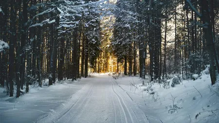 S-a schimbat prognoza pentru Crăciun și Revelion. Meteorologii Accuweather vin cu noi vești pentru sărbători