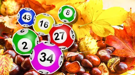 Rezultate Loto 7 noiembrie 2024. Premii uriaşe la Loto 6/49, Joker şi Noroc. Numere extrase LIVE pe Romania TV
