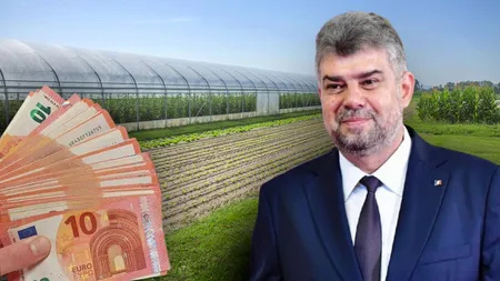 Bani de la Guvern pentru legumicultori. Marcel Ciolacu promite 125 de milioane de lei producătorilor agricoli care cultivă în sere și solarii