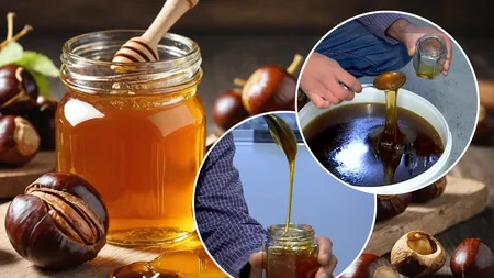 Un nou sortiment de miere de albine i-a cucerit iremediabil pe români. Este gustoasă și bogată în principii nutritive. Apicultor: 