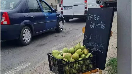 Gestul unei familii din Brașov care i-a impresionat pe șoferii blocați în trafic. La finalul zilei au avut parte de o surpriză uriașă