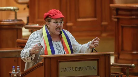 Cum motivează CCR decizia privind respingerea candidaturii Dianei Șoșoacă la prezidențiale
