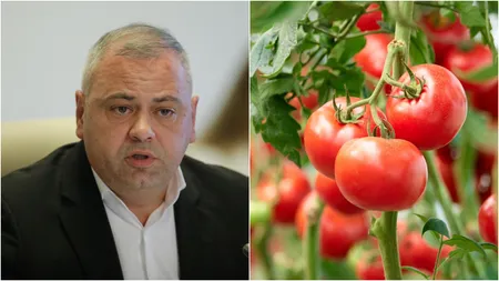 Ministrul Agriculturii, anunț important. Încep plățile pentru a doua tranșă a programului Tomata