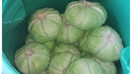 Rețetă varză murată. Câtă sare trebuie să pui ca să-ți iasă perfect