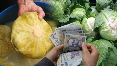 Țeapa cu varză care a băgat spaima în români. Noua escrocherie care lasă gospodarii fără bani: „Am plătit 60 de kilograme și am primit 30”