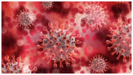 Alertă în București! Un virus necunoscut l-a paralizat pe un tânăr de 27 de ani din Capitală