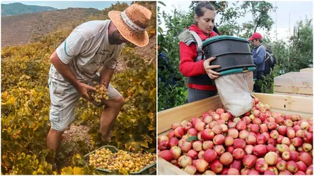 Cât câștigă un zilier în România. Tariful minim pe oră a fost majorat