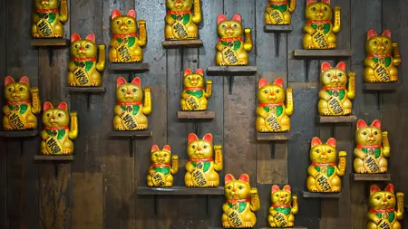 5 ZODII CHINEZEȘTI binecuvântate cu NOROC în perioada 18-24 noiembrie 2024