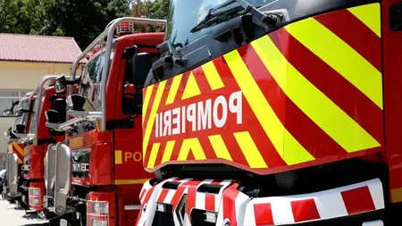 Peste 20 de câini au murit în urma unui incendiu, în Constanța. Polițiștii au deschis mai multe anchete. Proprietatul fusese amendat, în vară, pentru unele nereguli