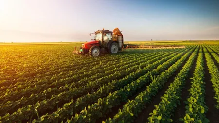 Creșteri colosale pe piața terenurilor agricole. Cât a ajuns să coste un hectar