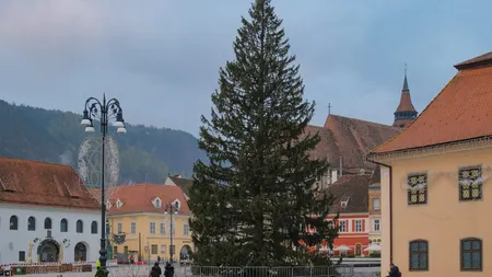Braşovul se pregătește de sărbătorilor de iarnă. Cel mai înalt bradul de Crăciun din România a fost instalat în Piaţa Sfatului