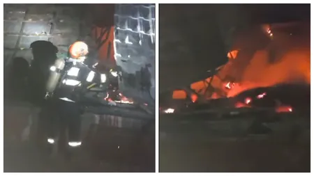 VIDEO Un incendiu puternic s-a produs în Prahova. O cabană a fost distrusă de flăcări