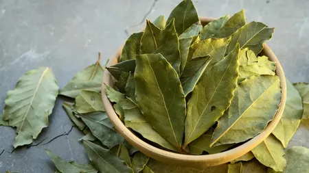 De ce să pui frunze de dafin prin casă. Acest truct îți va schimba viața