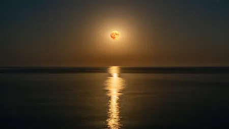SuperLuna incredibilă în Taur în 15 noiembrie 2024! Ce punctele slabe ne descoperim 