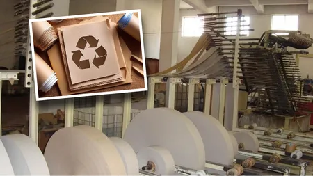 România va avea prima fabrică de hârtie specială care va înlocui ambalajele de plastic. Investiția de 75 de miliioane de euro va crea 200 de locuri de muncă