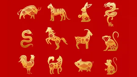 Horoscop chinezesc joi, 14 noiembrie 2024. Nativii care întâmpină o problemă destul de gravă
