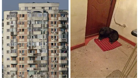Amenzi de 2.500 de lei pentru românii care stau la bloc și au animale de companie. S-a dat lege