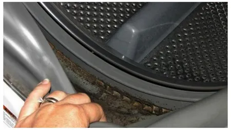 Cum să scapi de mucegaiul din mașina de spălat.Trucul genial care te scapă de probleme în câteva minute