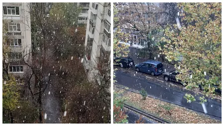 Ninge în București! Capitala are de-a face cu prima ninsoare din acest sezon