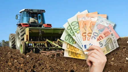 Un nou ajutor pentru români, aprobat de Guvern. Când intră banii pe carduri