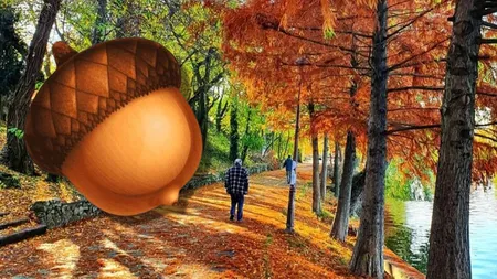 Prognoza meteo 4 noiembrie 2024. Temperaturi în creștere, la început de săptămână