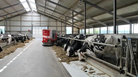 Taxă de mediu de 5200 de euro pe an pentru crescătorii de animale. Este LEGE de la anu!