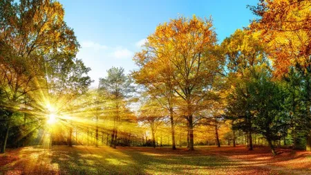 Prognoza meteo. Dimineţi de decembrie, temperaturi de iunie la prânz. Un val de aer polar se apropie de ţara noastră