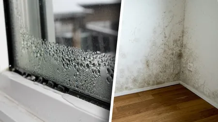 Cum scapi de umezeala din locuință. Soluții eficiente pentru evitarea mucegaiului