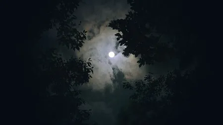 Zodia care ascunde cel mai negru secret. Este malefică și ar trebui să te ferești de ea. Aduce numai necazuri