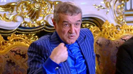 Gigi Becali, declarații incendiare! Omul de afaceri are în plan să bată un deputat. 