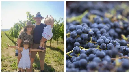 Cum a dat lovitura o familie de români întoarsă acasă după șapte ani în Italia. De la angajații altora la antreprenorii de succes ai unei crame eco