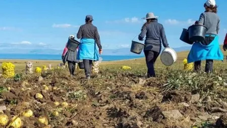 Concedieri masive într-un sector de activitate neafectat de disponibilizări în ultimul deceniu. Schimbările climatice, principala cauză a renunțării la angajați