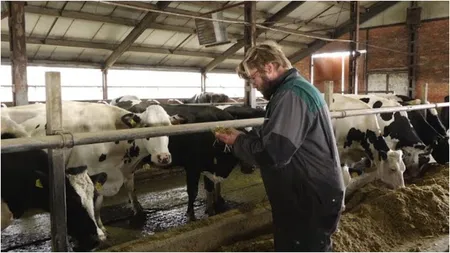 Efectele schimbărilor climatice. Fermele românești își concediază angajații pentru prima dată în ultimii 10 ani