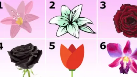 Tipul de floare care îți dezvăluie personalitatea. Ce semnificație are trandafirul roșu