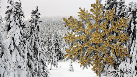Prognoza meteo 12 decembrie. Val de aer polar peste România. Temperaturile scad până la MINUS 16 grade. Unde va ninge
