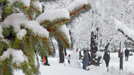 PROGNOZA METEO. Moş Nicolae aduce ninsori! Un nou ciclon loveşte România în weekend, se va depune strat nou de zăpadă la munte