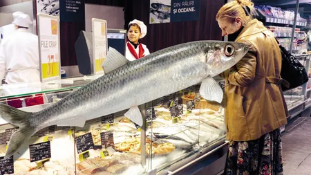 Peştele ieftin care musteşte de vitamina D. Se găseşte în toate magazinele din România