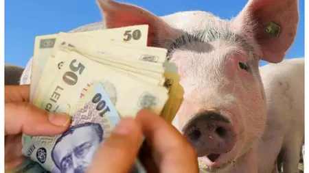 Preţ PORC de Crăciun la început de decembrie! Cum să ai şorici, caltaboş, cârnaţi, tobă şi friptură la jumătate de preţ faţă de magazine