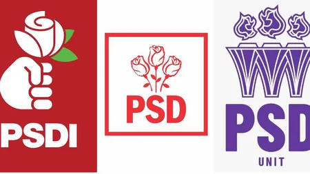 Cum a pierdut PSD voturi la alegerile parlamentare din cauza a două partide clonă