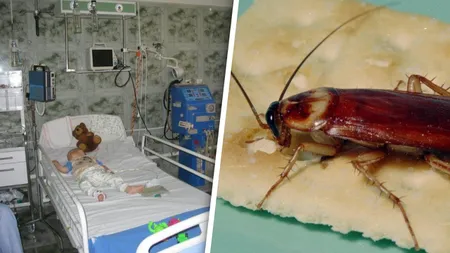 Invazie de gândaci și condiții insalubre la Spitalul de Copii din Cluj-Napoca: „A fost o experiență îngrozitoare. Am rămas traumatizată”
