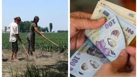 Cine sunt angajații care vor primi câte 200 de lei pe zi de la 1 ianuarie 2025. Vești bune pentru această categorie de români