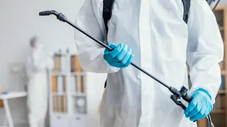 Cum a devenit Deratizescu o firmă de top în servicii DDD din Iași