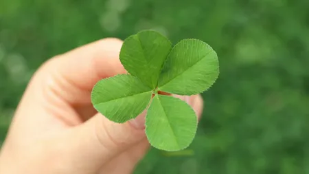 NOROCUL favorizează aceste 3 ZODII la finalul săptămânii. Potul cel mare la Loto le surâde